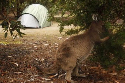 Western KI Caravan Park Cabins - Accommodation Sydney 2