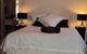 Darwin City Bed And Breakfast - thumb 3