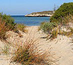 Marion Bay Caravan Park - Sydney 4u 5