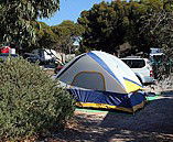 Marion Bay Caravan Park - Sydney 4u 6