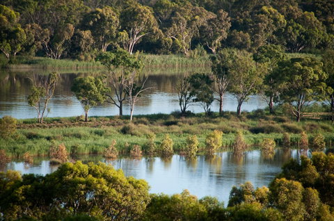 Riverview Rise Retreats - Accommodation Sydney 4