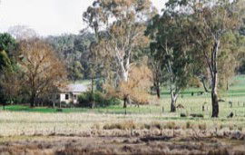 Tungali Cottage - Sydney 4u 3