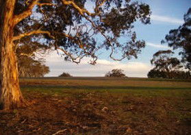 Mirrabooka Bed And Breakfast - Accommodation Sydney 1