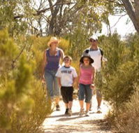 Long Island Caravan Park Cabins - Accommodation Sydney
