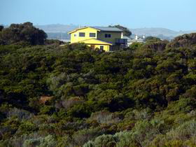Ark Bed And Breakfast - Sydney 4u 5