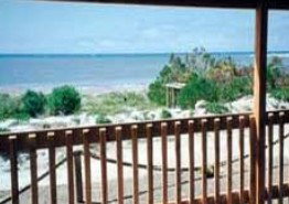 Nautilus Lodge - Accommodation Sydney 2