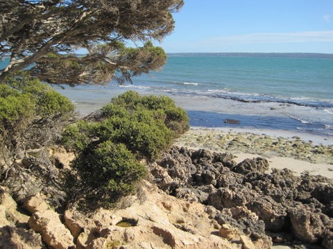 Wallaby Beach House - Accommodation Sydney 4