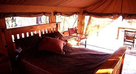 Jabiru Safari Lodge At Mareeba Wetlands - Accommodation Sydney 1