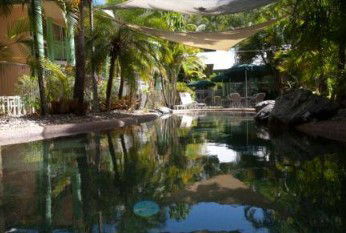 Tropical Nites - Accommodation Sydney 2