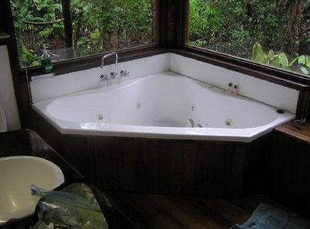 The Canopy Rainforest Tree Houses And Wildlife Sanctuary - Sydney 4u 0