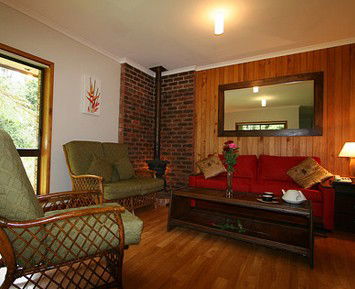 The Canopy Rainforest Tree Houses And Wildlife Sanctuary - Sydney 4u 1