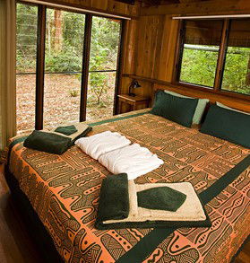 The Canopy Rainforest Tree Houses And Wildlife Sanctuary - Sydney 4u 2
