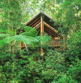 The Canopy Rainforest Tree Houses And Wildlife Sanctuary - Sydney 4u 5