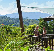 Rose Gums Wilderness Retreat - Accommodation Sydney
