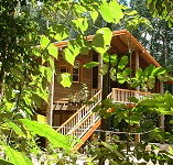 Rivers Edge Rainforest Retreat - Sydney 4u