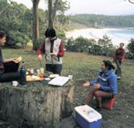 Fortescue Bay Camping Ground - Accommodation Sydney