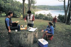 Fortescue Bay Camping Ground - Accommodation Sydney 0