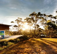 Bruny Island Experience