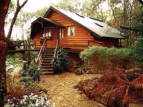 Marions Vineyard (Accommodation) - Accommodation Sydney 0