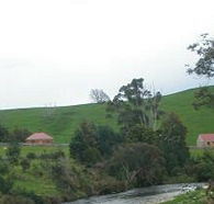 Tin Dragon Trail Cottages - Sydney 4u