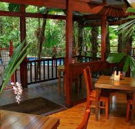 Daintree Wilderness Lodge - Sydney 4u