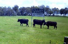 Westbury TAS Sydney 4u