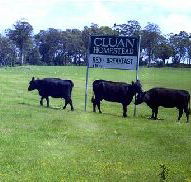 Cluan Homestead - The Managers Residence - Sydney 4u
