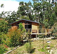 Southern Forest Accommodation - Accommodation Sydney