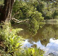 Weldborough Camping Ground - Sydney 4u