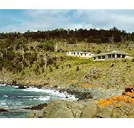 Kabuki by the Sea - Sydney 4u