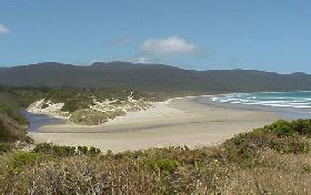 Cloudy Bay Cabin - Sydney 4u 0