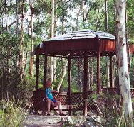 Telopea - Sydney 4u