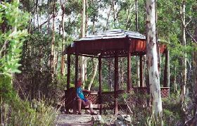 Telopea - Sydney 4u 0