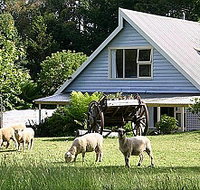 Hide-Away Cottage Retreat - Accommodation Sydney