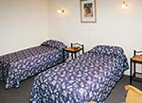 Mt Lyell Motor Inn - Accommodation Sydney 0