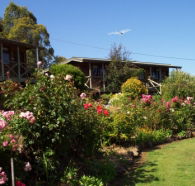 Mole Creek Holiday Village - Accommodation Sydney
