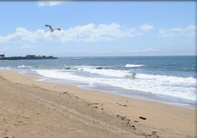 Comfort Hotel Burnie - Accommodation Sydney 3