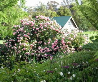 Conmel Cottage - Sydney 4u 2
