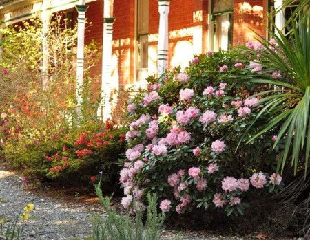 Ormiston House - Accommodation Sydney 3