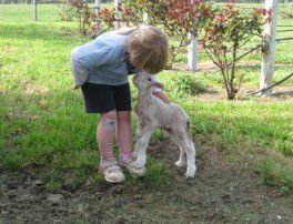 Taras Richmond Farmstay - Sydney 4u 3
