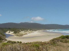 Cloudy Bay Cabin - Sydney 4u 1