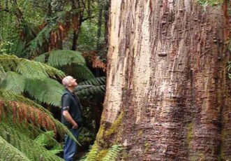 Fingal Hotel - Accommodation Sydney 5