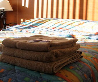 Mt Lyell Motor Inn - Accommodation Sydney 3
