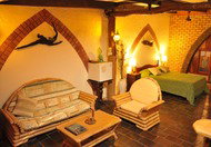 Cedar Park Rainforest Resort - Accommodation Sydney 0