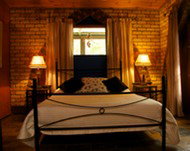 Cedar Park Rainforest Resort - Accommodation Sydney 3