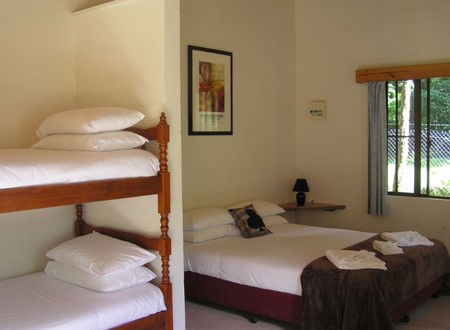 Lync-Haven Rainforest Retreat - Accommodation Sydney 1