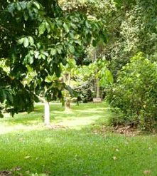 Julatten QLD Sydney 4u