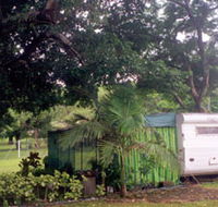 Cooktown Orchid Travellers Park - Sydney 4u