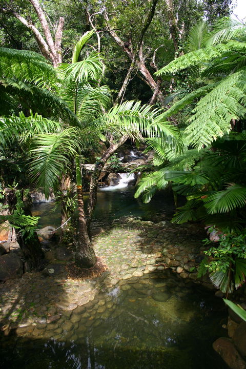 Daintree Secrets (Award Winning Retreat) - Sydney 4u 4