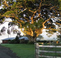 Arley Farm The Old Dairy - Accommodation Sydney